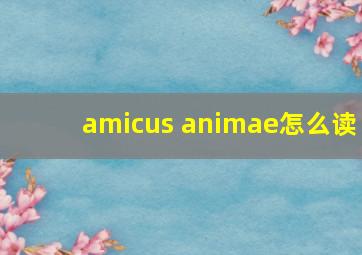 amicus animae怎么读